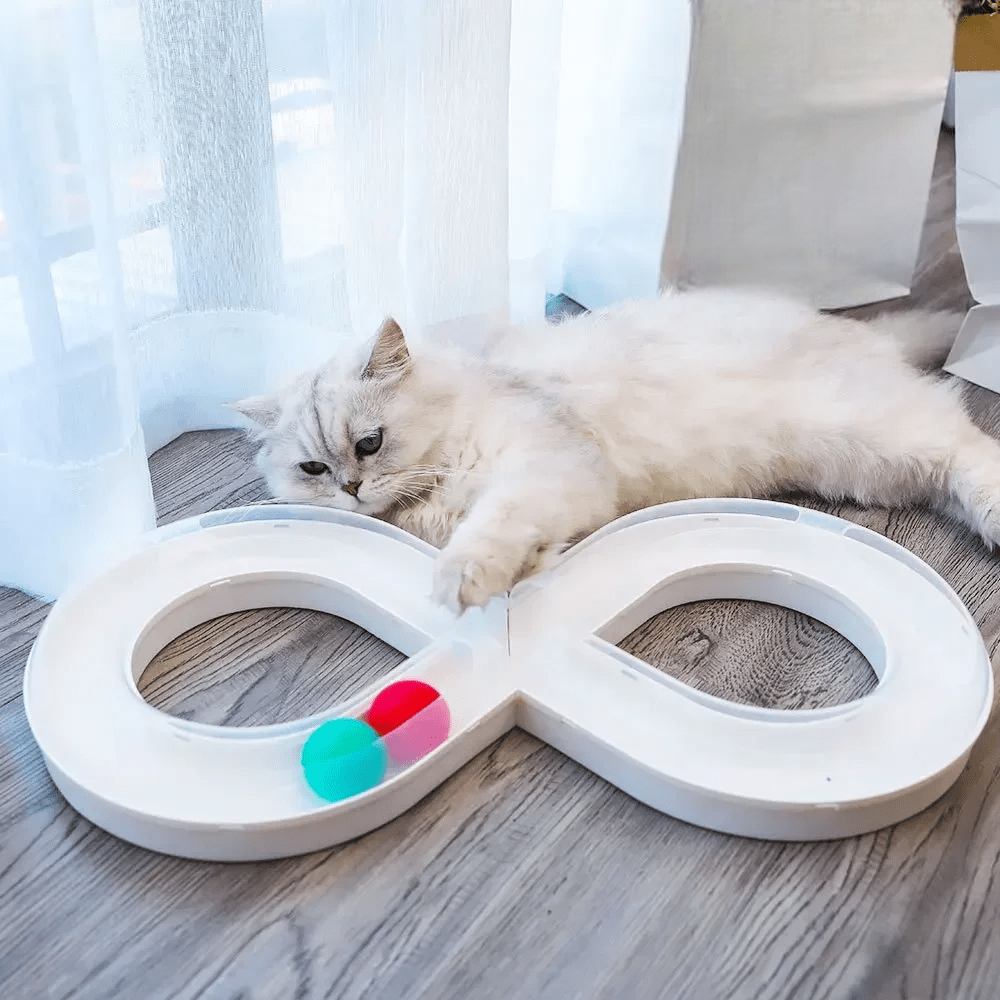 Jouets Interactifs Pour Chat - HouseholdTurntableTunnel™ - Blanc - Chatjoue