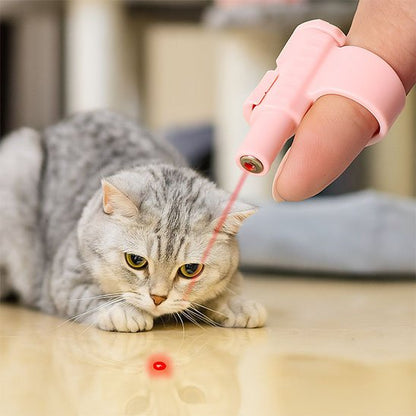 Laser chat​ fait courir les chats toute la journée