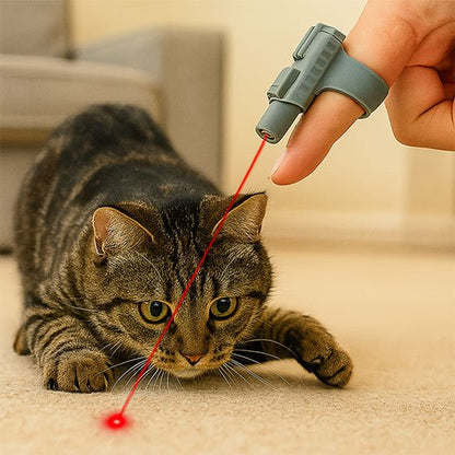 Laser chat​  jeux interactif 