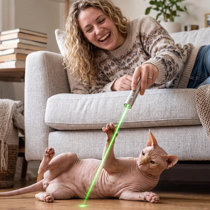 Laser pour chat argenté utilisé par femme sphinx joue 
