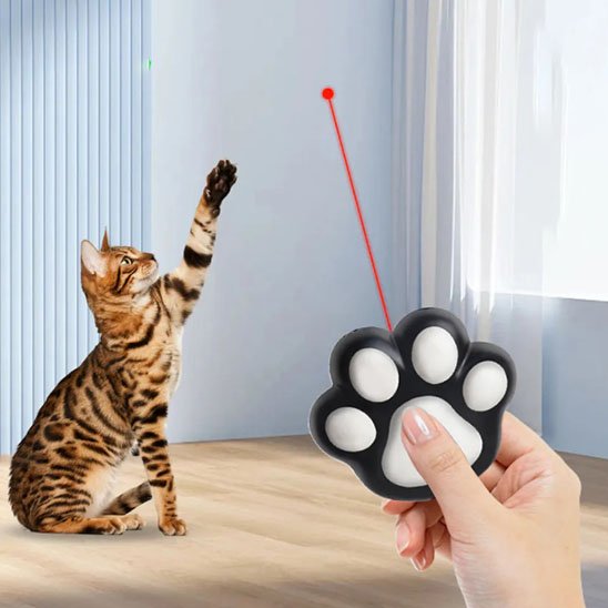Laser pour chat en forme de patte noir et blanc