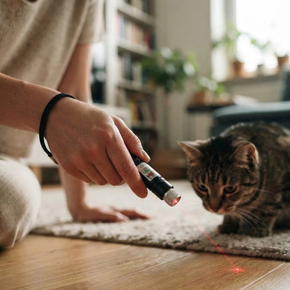 Laser pour chat lumière rouge homme et chat jouent