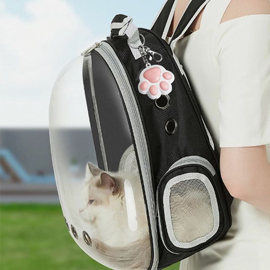 Laser pour chat porte clés qui se glisse partout