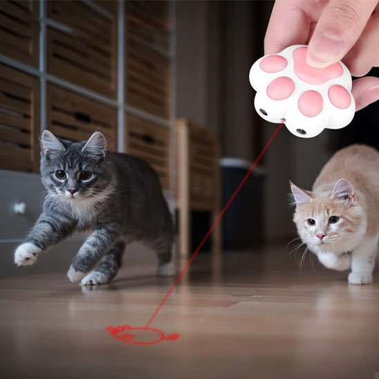 Laser pour chat rechargeable par USB