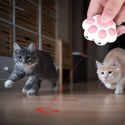 Laser pour chat rechargeable par USB