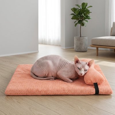 lit Chat avec matelas à mémoire de forme