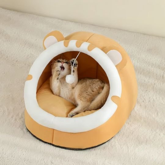 Lit pour chat de couleur crème