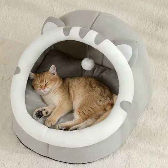 Lit pour chat de couleur gris