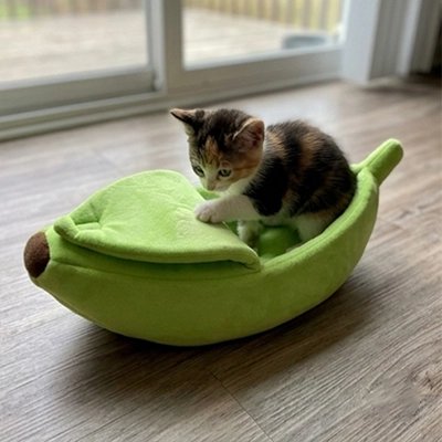 Lit pour Chat de couleur vert en forme de banane