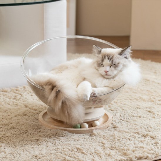 Lit pour chat idéal pour le repos du chat