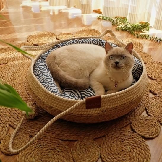 Lit pour chat le coussin est lavable 