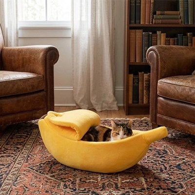 Lit pour Chat ouvert ou fermer