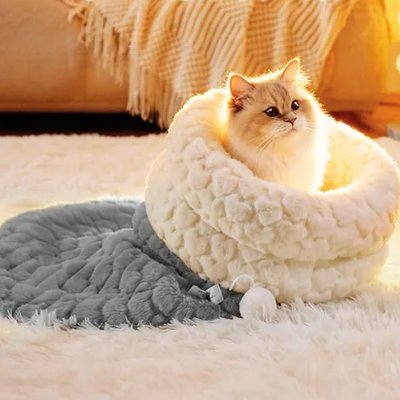 Lit pour Chat se glisse partout 