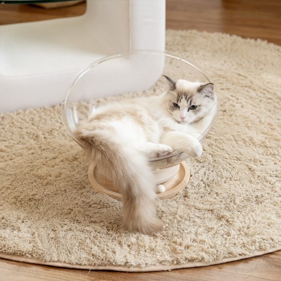 Lit pour chat un dôme transparent 