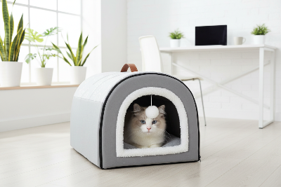Maison chat gris bureau
