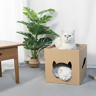Maison en carton pour chat niche griffoir 