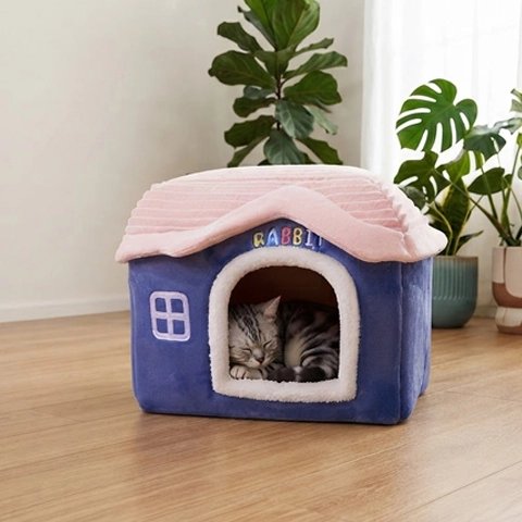 Maison pour chat bleue chaton qui dort dans salon