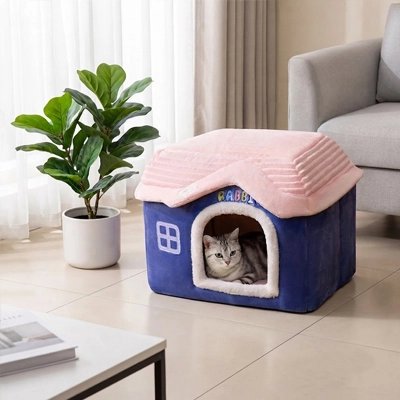 Maison pour chat bleue devant fenêtre chat a l'intérieur 