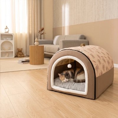 Maison pour chat et chat qui dort dans le salon