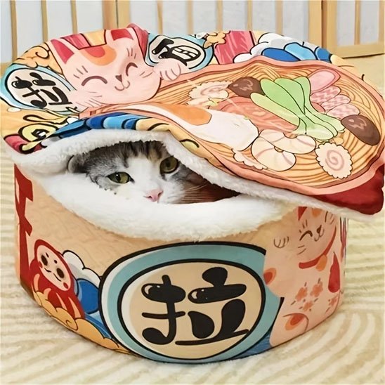 Maison pour chat niche ou panier et son tapis