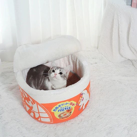 Maison pour chat orange
