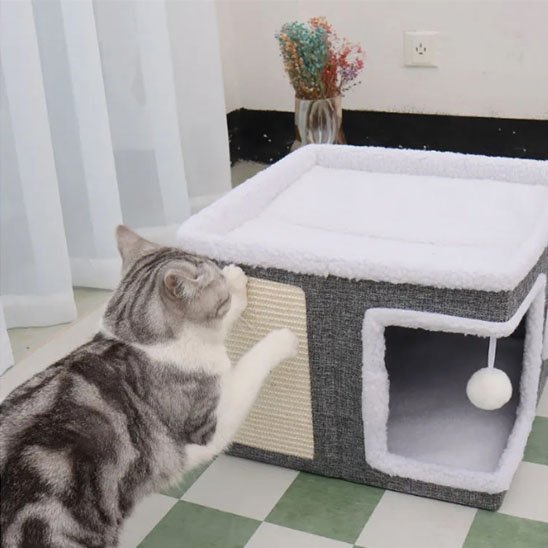 Maison Chat Carrée | Cosy Design - Chatjoue
