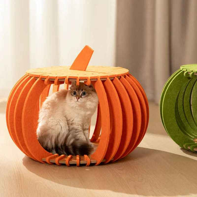 maison pour chaton orange avec chat siamois