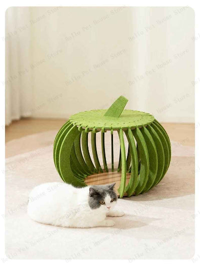 maison pour chaton verte avec chat blanc et noir