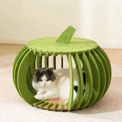 maison pour chaton verte avec chaton noir et blanc dedans