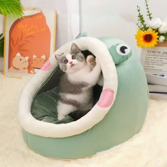 Niche pour chat avec des gros yeux