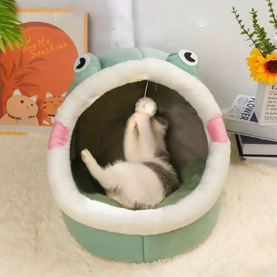 Niche pour chat jolie grenouille verte