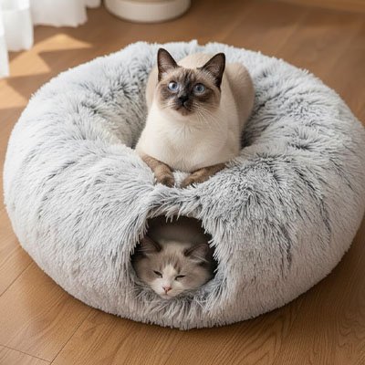 Niche pour chat pour des parties de cache-cache