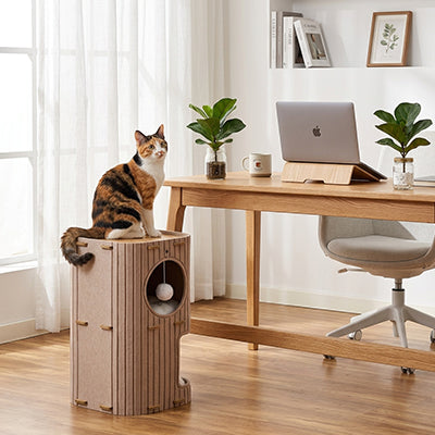 niche pour chat pour un ou plusieurs chats