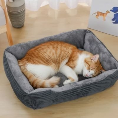 Panier chat confortable et douillet