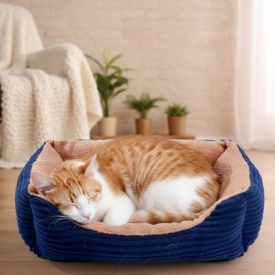 Panier chat de couleur bleu et beige