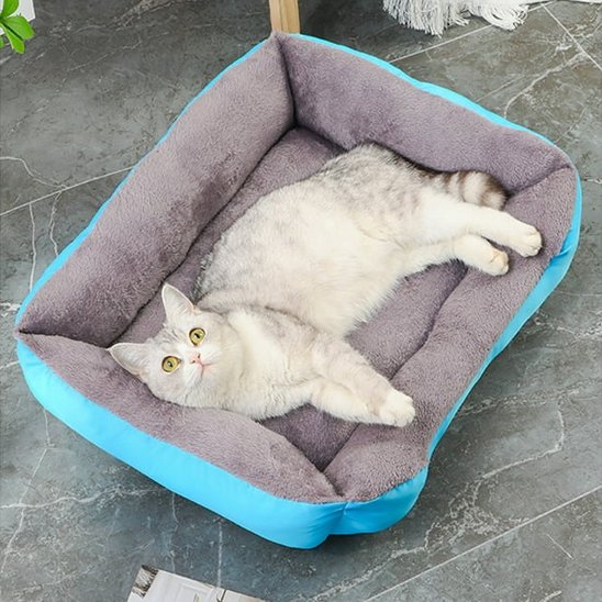 Panier Chat de couleur bleu