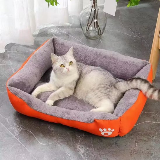 Panier Chat de couleur orange
