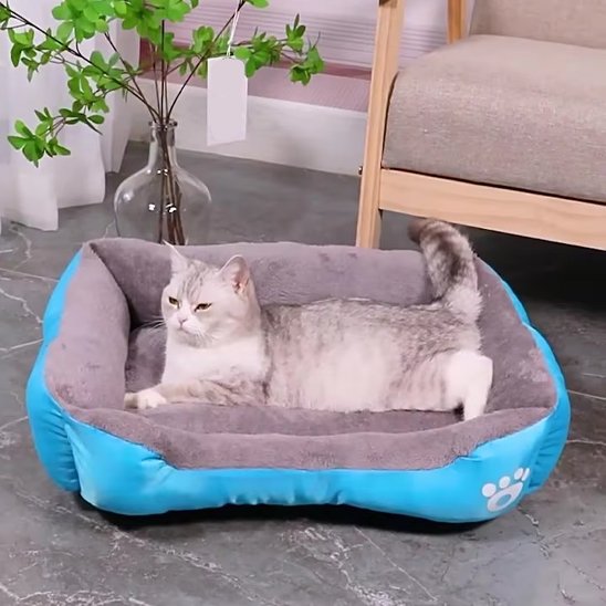 Panier Chat en 2 dimensions
