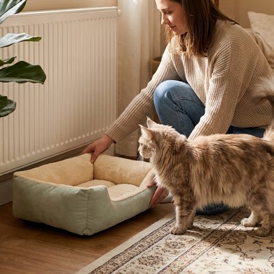 Panier chat facile à placer dans le salon