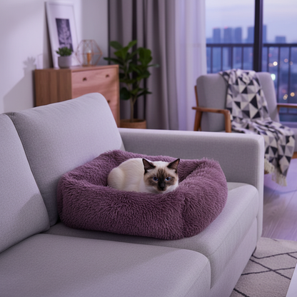 Panier chat mauve