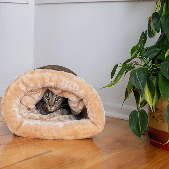 Panier Chat petit sac pour se cacher