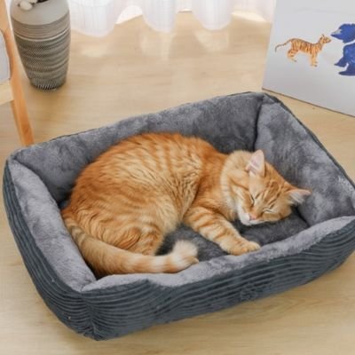 Panier chat rembourré et doux