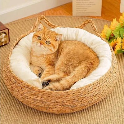 Panier osier Chat design élégant