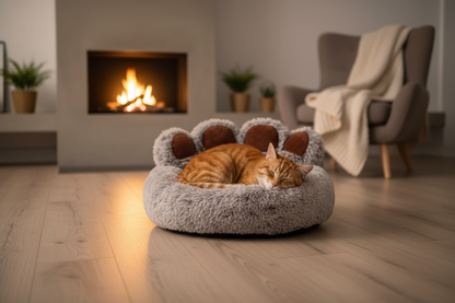 Panier patte d'ours - chat roux - salon scandinave