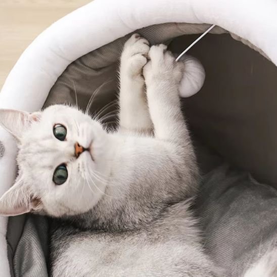 Panier pour chat déco élégante pour toutes les pièces 