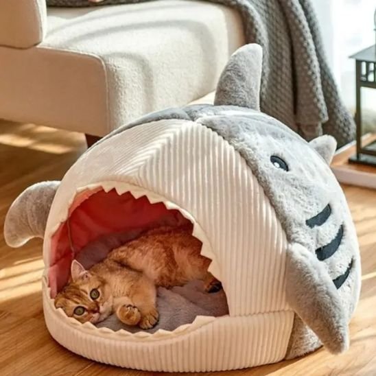 Panier pour chat décor tête de requin