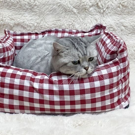 Panier pour chat existe en rouge