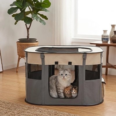Parc pour Chat avec chatte et chatons dedans