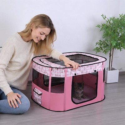 Parc pour Chat rose et femme regarde chat par dessus