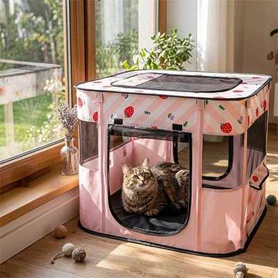 Parc pour Chat rose près fenêtre chat couché dedans